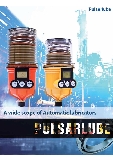 PULSARLUBE SINGLE POINT AUTOMATIC LUBRICATOR